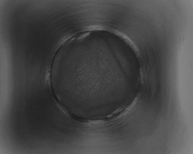 X0000100891225200807151050