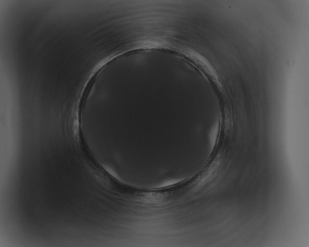 X0000100891226200807151050