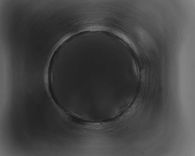 X0000100891229200807151050