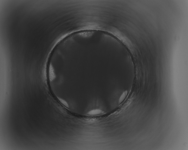 X0000100891230200807151050