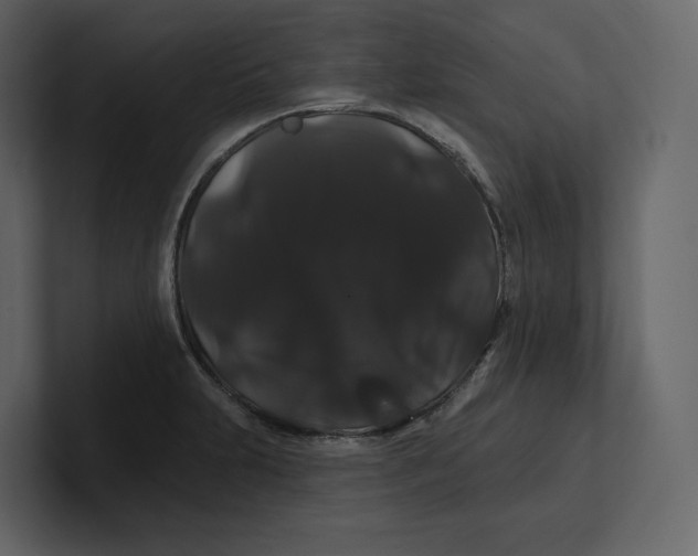 X0000100891231200807151050