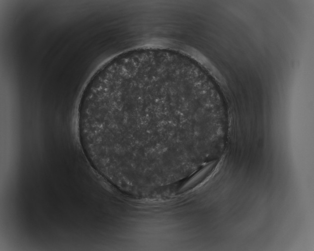 X0000100891232200807151050