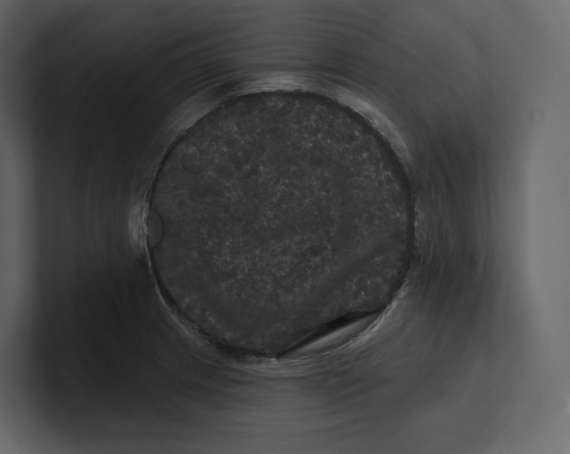 X0000100891233200807151050