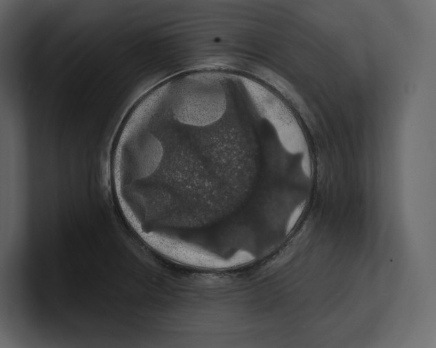 X0000100891234200807151050