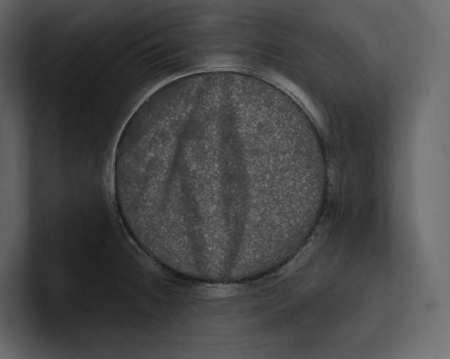 X0000100891236200807151050