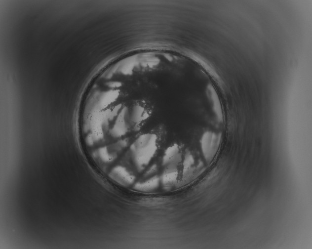 X0000100891237200807151050