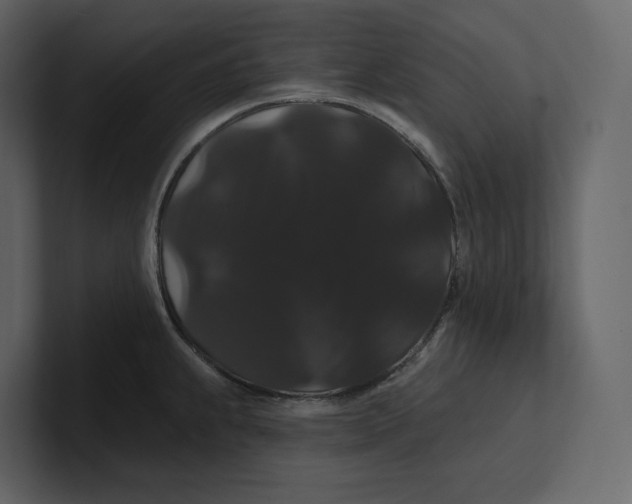 X0000100891239200807151050