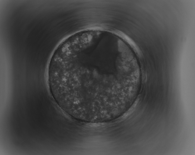 X0000100891240200807151050