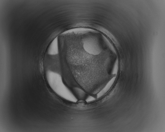 X0000100891241200807151050