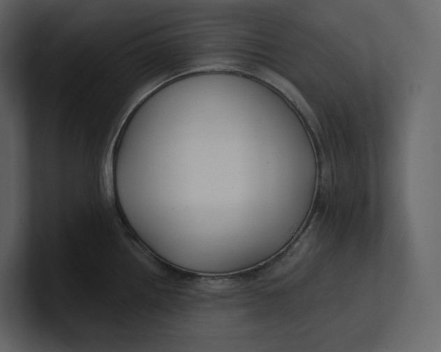 X0000100891242200807151050