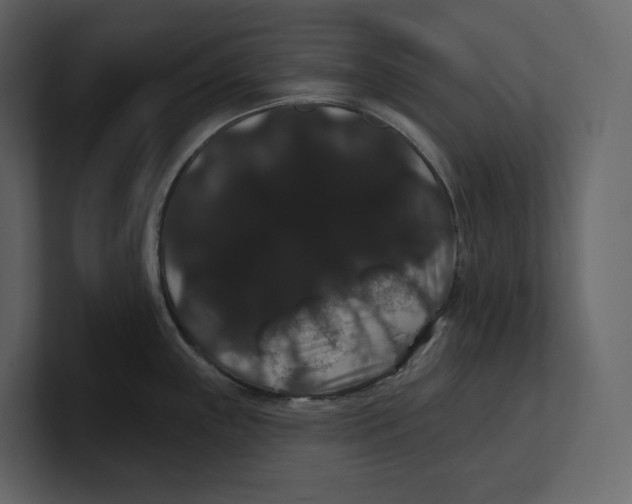 X0000100891243200807151050