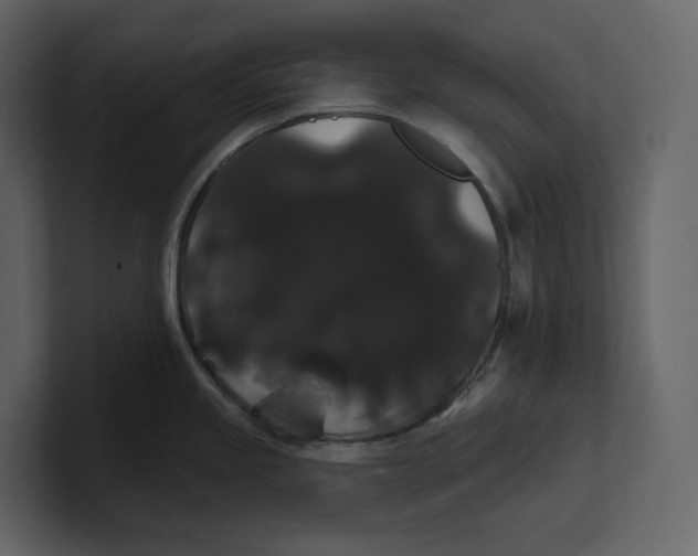 X0000100891245200807151050