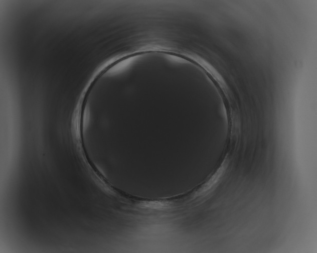 X0000100891246200807151050