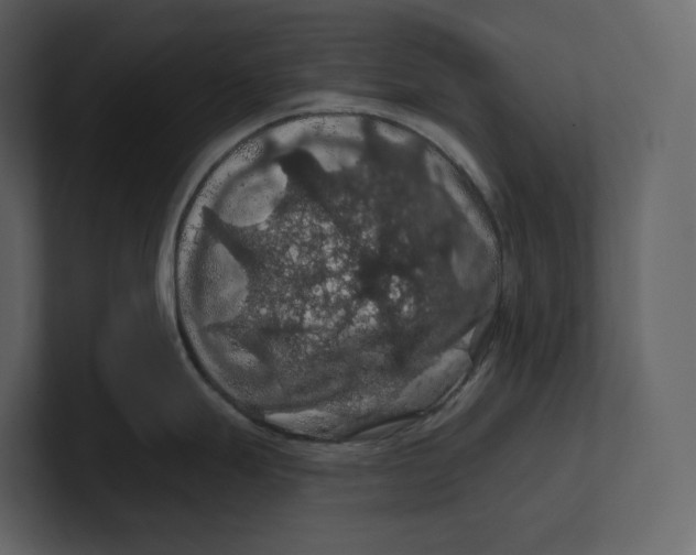 X0000100891247200807151050