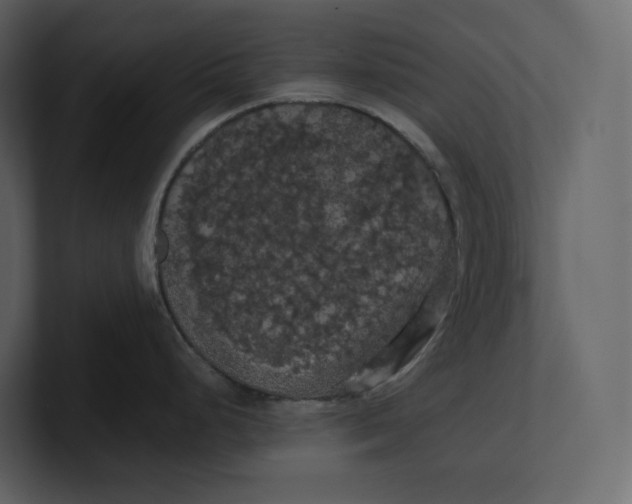 X0000100891248200807151050