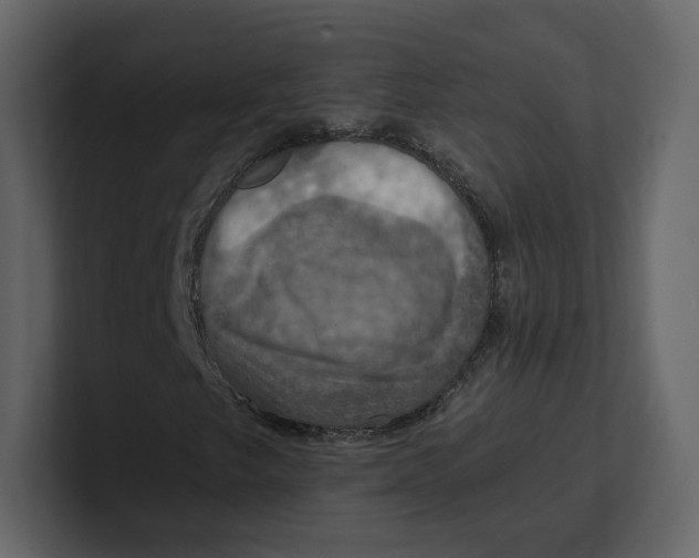 X0000100891249200807151050