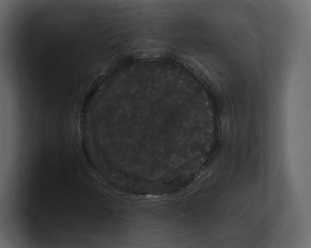 X0000100891250200807151050