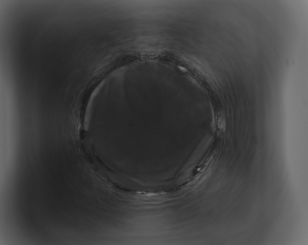 X0000100891252200807151050