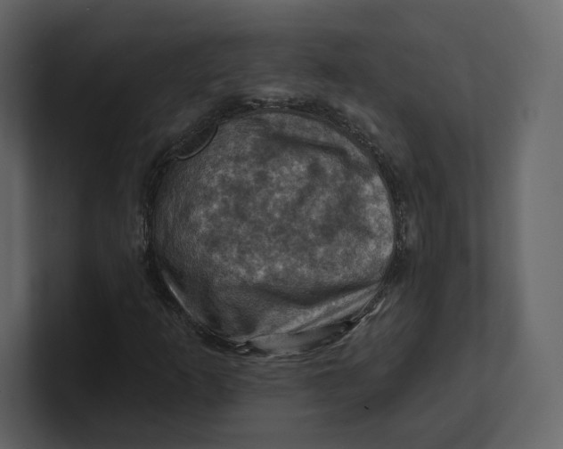 X0000100891253200807151050