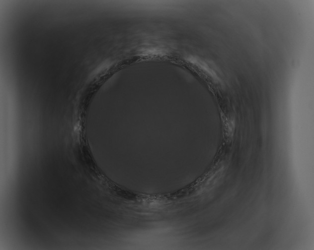 X0000100891254200807151050