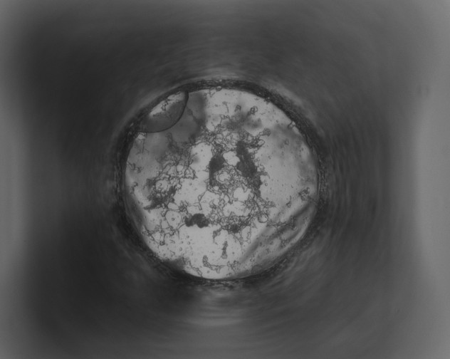 X0000100891255200807151050