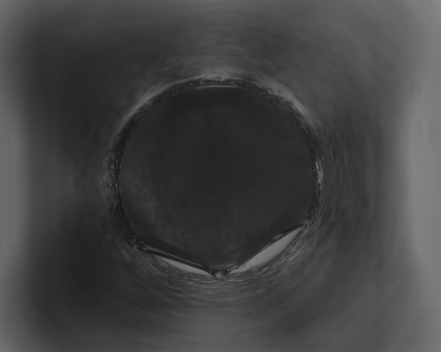 X0000100891256200807151050