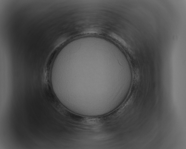 X0000100891258200807151050