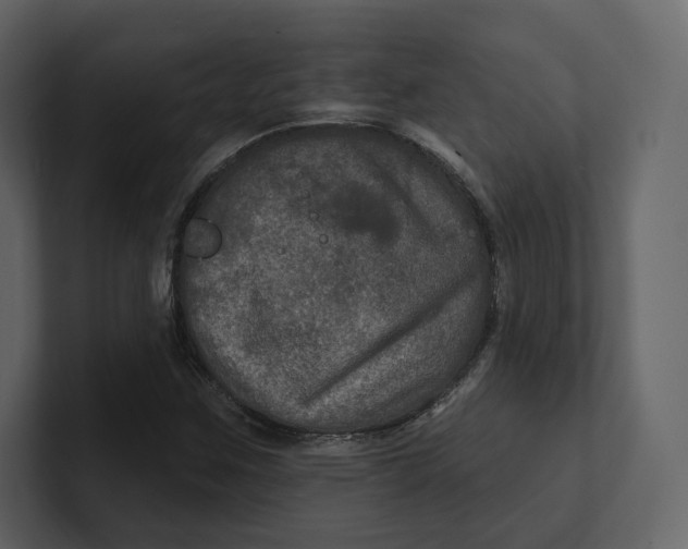 X0000100891259200807151050