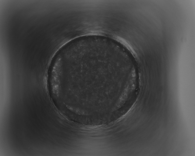 X0000100891260200807151050