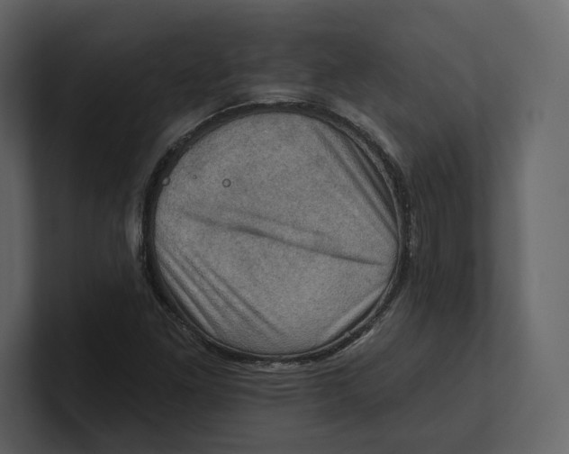 X0000100891261200807151050