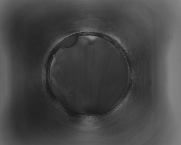 X0000100891263200807151050