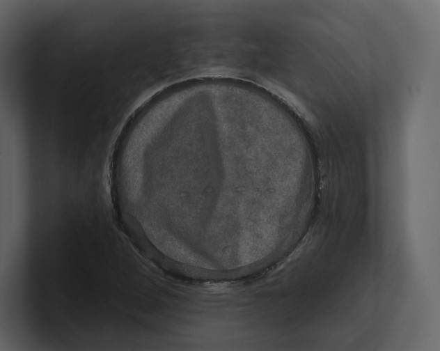 X0000100891264200807151050