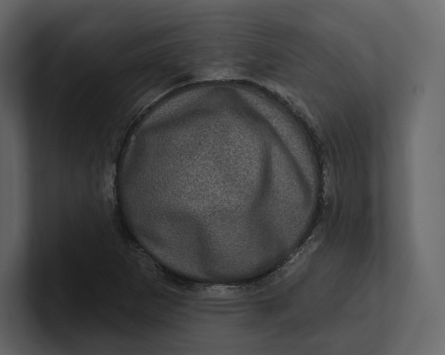 X0000100891265200807151050