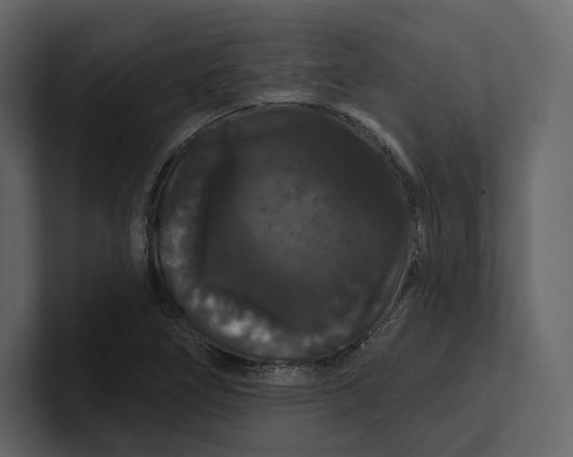 X0000100891266200807151050