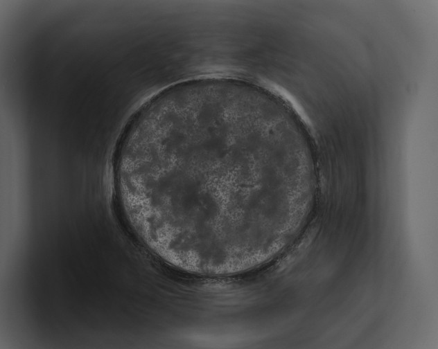 X0000100891267200807151050