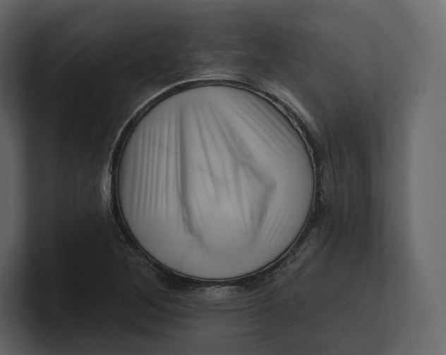 X0000100891268200807151050