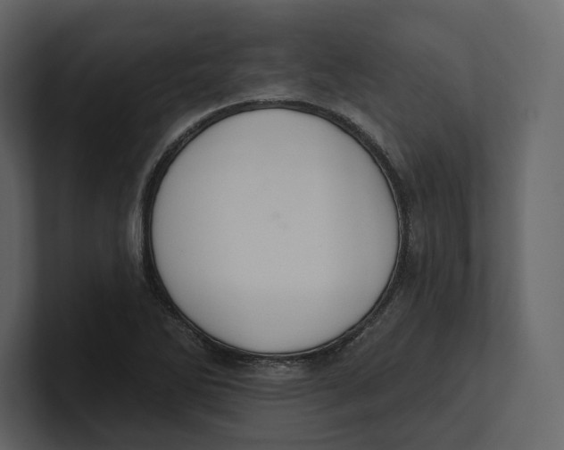 X0000100891270200807151050