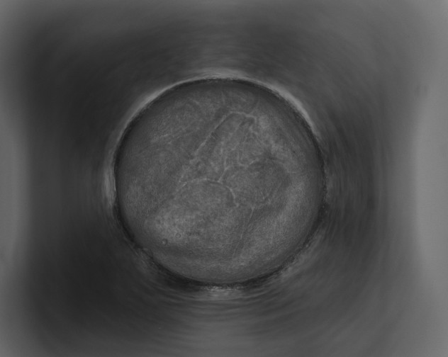 X0000100891271200807151050