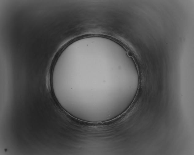 X0000100891272200807151050