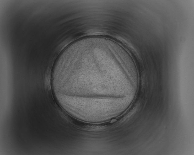 X0000100891273200807151050