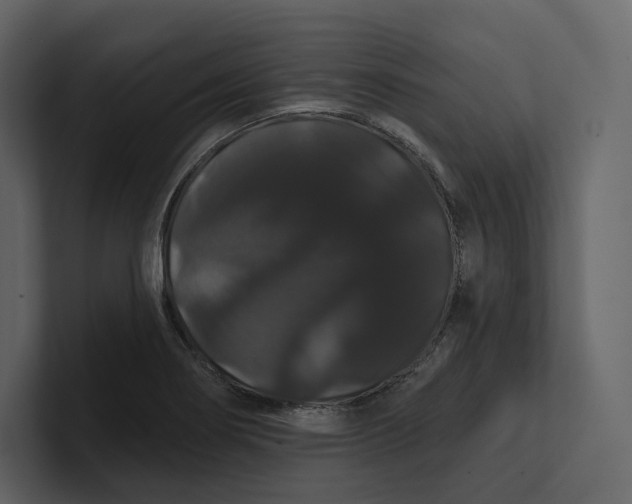 X0000100891274200807151050