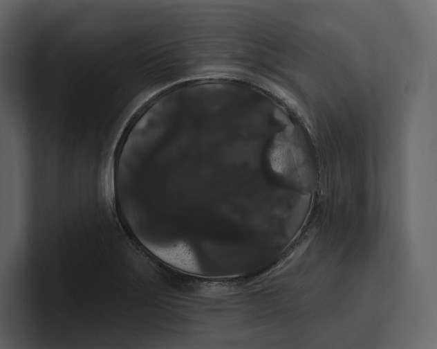 X0000100891275200807151050