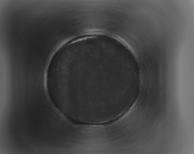 X0000100891277200807151049