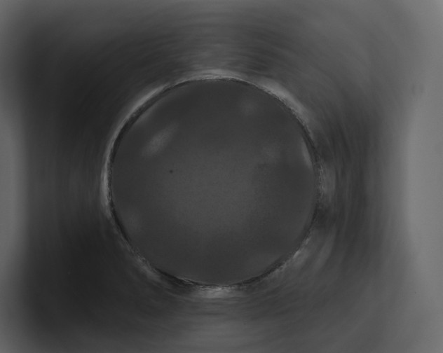 X0000100891278200807151049