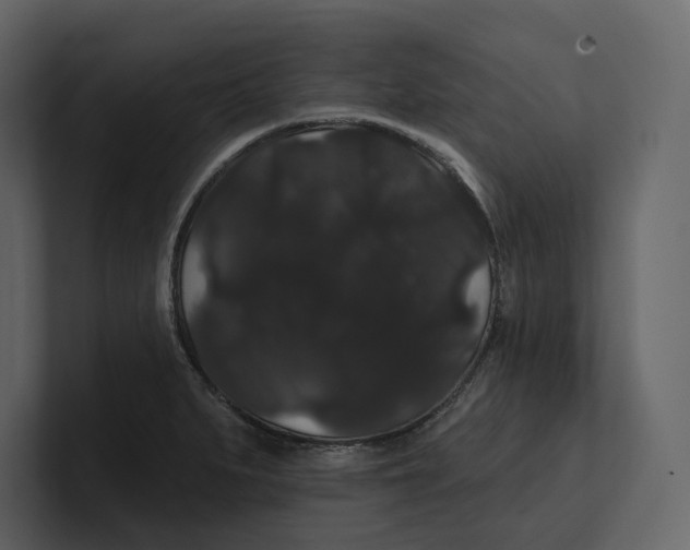 X0000100891279200807151049