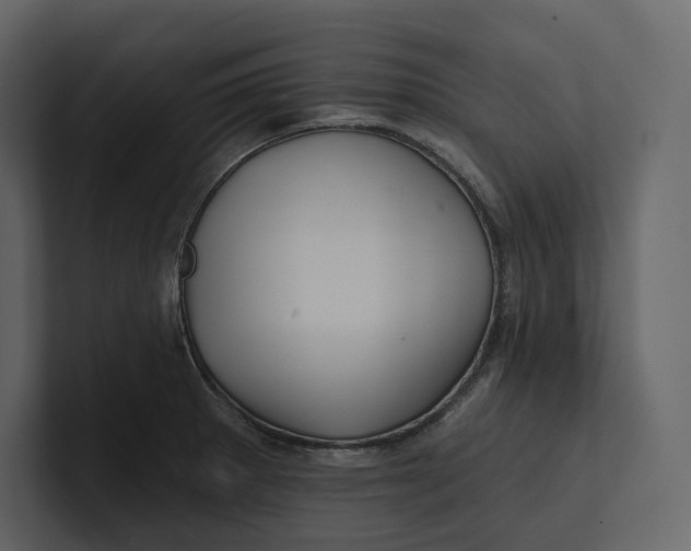 X0000100891281200807151049