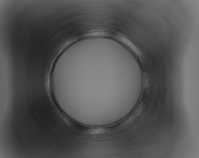 X0000100891282200807151049