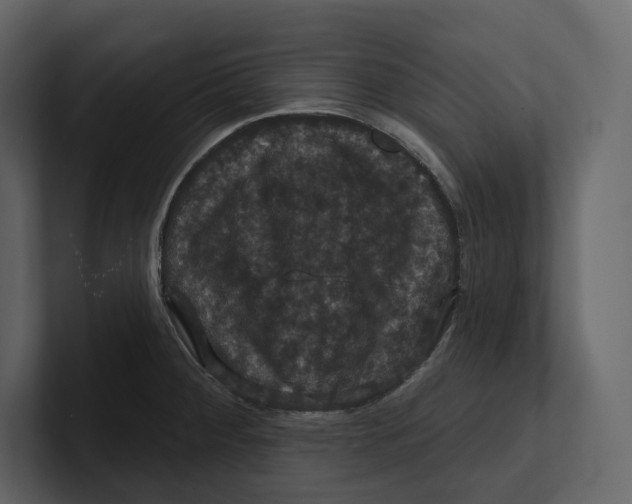 X0000100891284200807151049