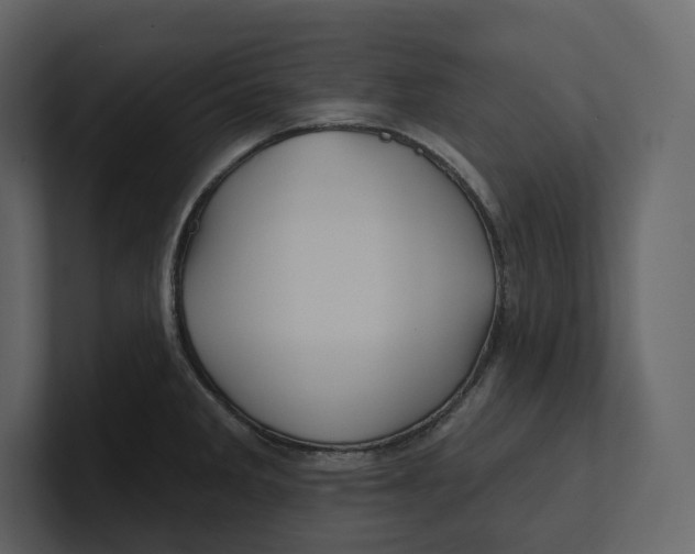 X0000100891285200807151049