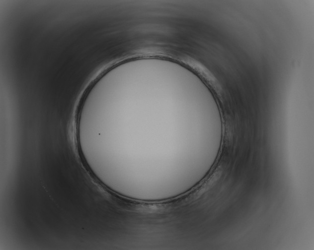 X0000100891286200807151049